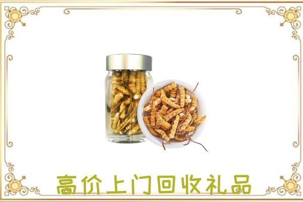 吐鲁番周边回收虫草
